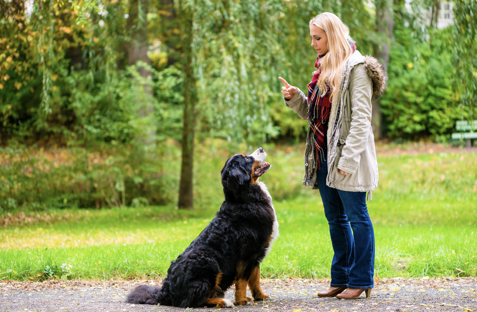 Benefits of a Wireless GPS Dog Fence